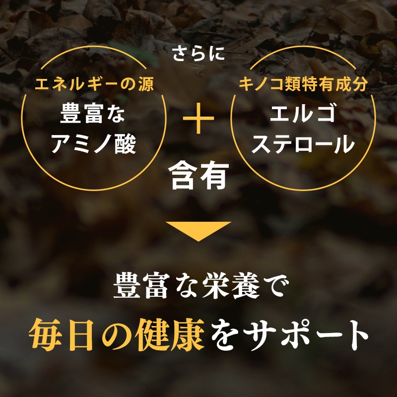 ��2�ޤ��ޤ��ۤ����������ǥꡡ20�ĤޤȤ��㤤