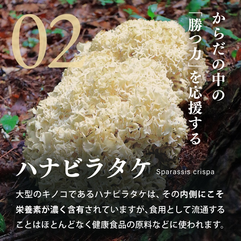 ��1�ޤ��ޤ��ۤ����������ǥꡡ10�ĤޤȤ��㤤