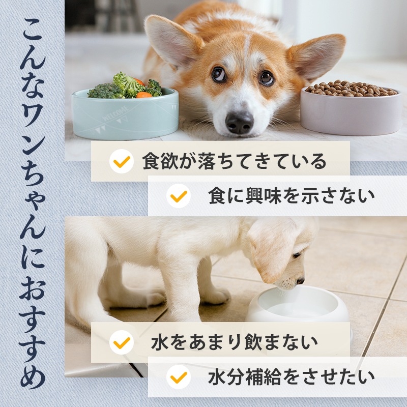 ��1�ޤ��ޤ��ۤ����������ǥꡡ10�ĤޤȤ��㤤