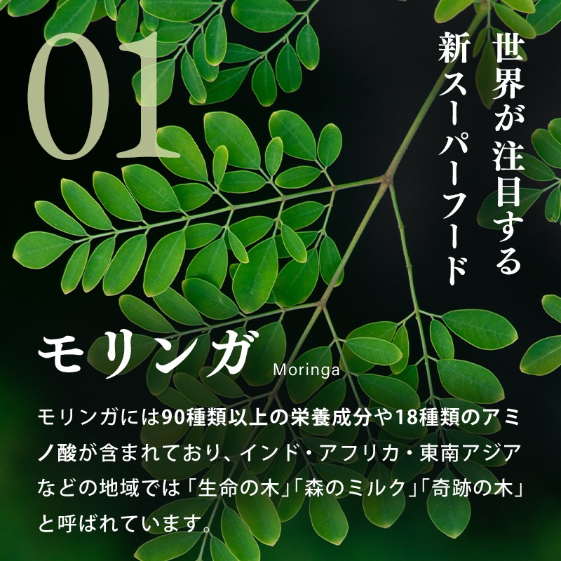 ��1�ޤ��ޤ��ۤ����������ǥꡡ10�ĤޤȤ��㤤