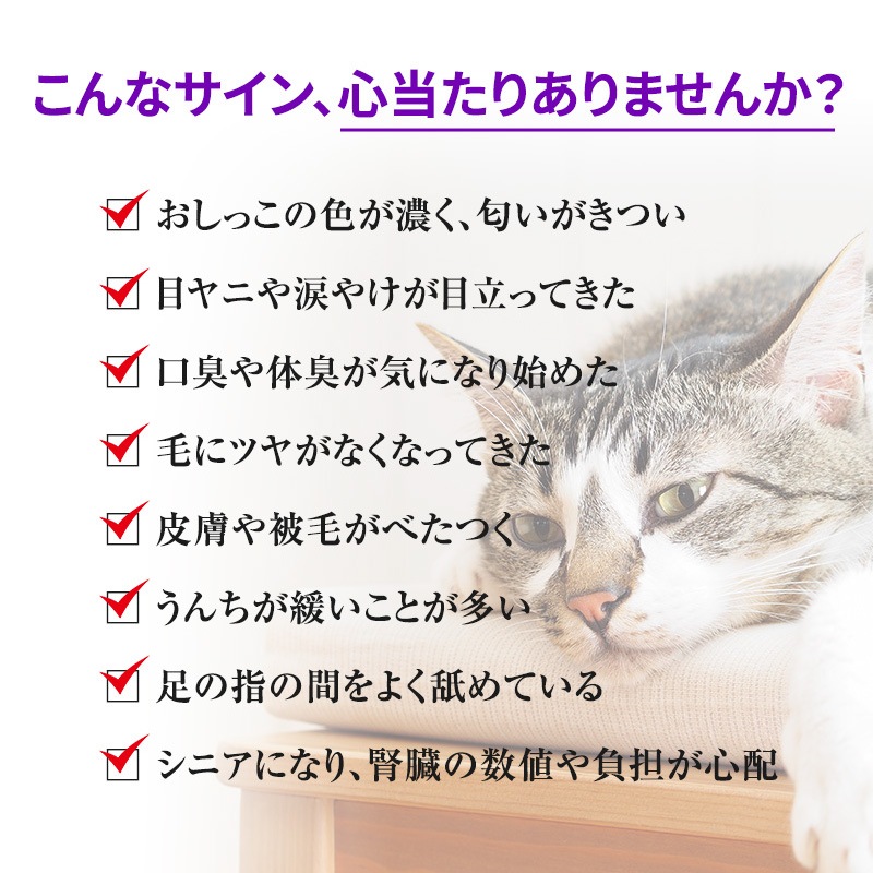 �ڥ��åȤǤ����ۥǥȥå���������(180g��2�ĥ��å�