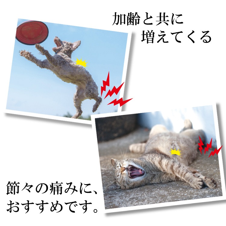 �ڥ᡼�����б��۸�ǭ�ѥߥ륯���ץ���ȡ����ᥨ���ɡ�180���