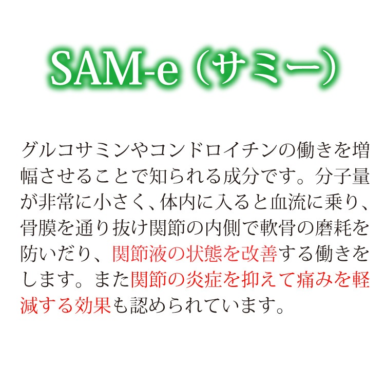 ڥ᡼б۸ǭѥߥ륯ץȡᥨɡ360