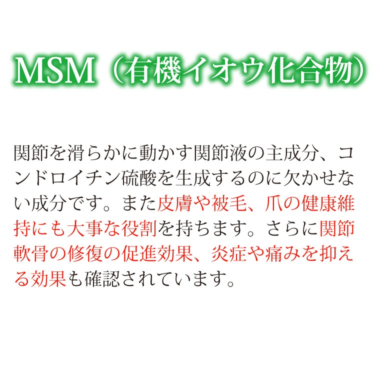 ڥ᡼б۸ǭѥߥ륯ץȡᥨɡ360