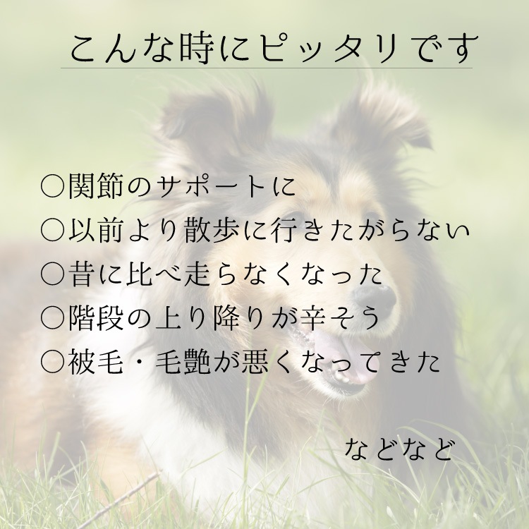 ڥ᡼б۸ǭѥߥ륯ץȡᥨɡ360