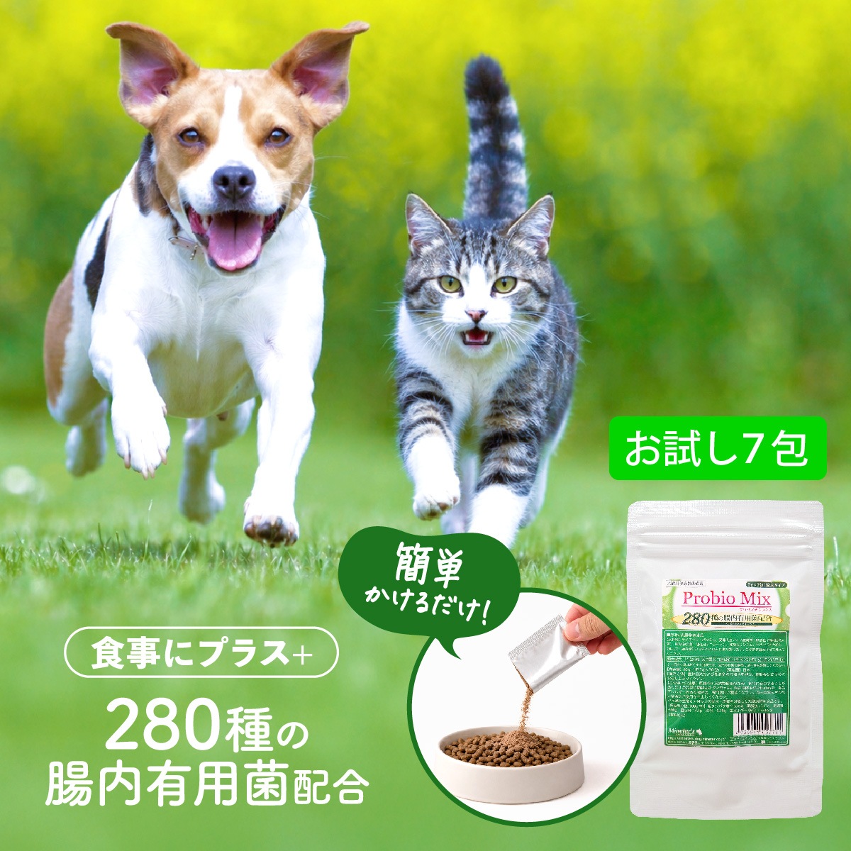 �ڥ�˥塼���롪���ۡڤ���ۥץ��Х����ߥå�����7��ˡʽ�����/�����Ӱ��¤�Ȥʤ�ޤ���