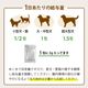 �ڥ�˥塼���롪���ۡڤ���ۥץ��Х����ߥå�����7��ˡʽ�����/�����Ӱ��¤�Ȥʤ�ޤ���