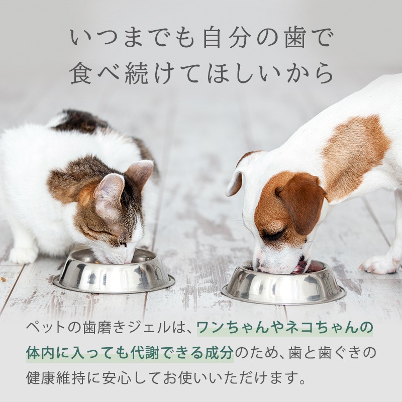 �ڿ����ʡۡڥ᡼�����б��ۥڥåȤλ��᤭������(30g)�ʢ����֥饷����°���Ƥ��ޤ����