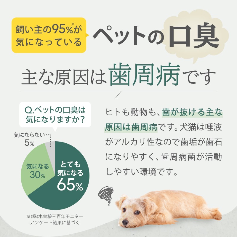 �ڿ����ʡۡڥ᡼�����б��ۥڥåȤλ��᤭������(30g)�ʢ����֥饷����°���Ƥ��ޤ����