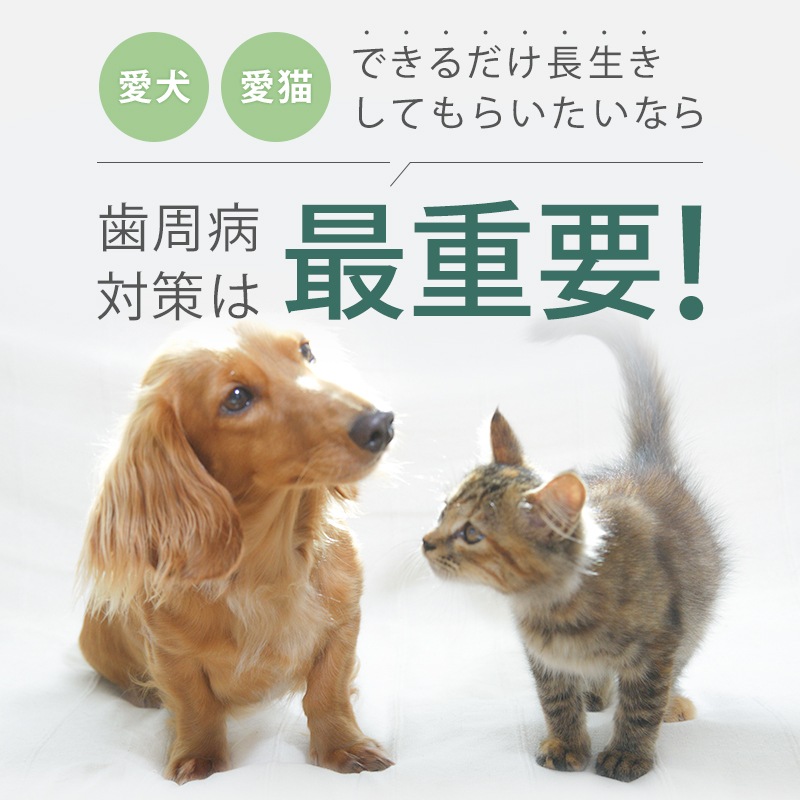 �ڿ����ʡۡڥ᡼�����б��ۥڥåȤλ��᤭������(30g)�ʢ����֥饷����°���Ƥ��ޤ����