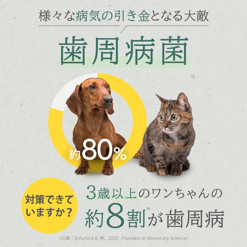 �ڿ����ʡۡڥ᡼�����б��ۥڥåȤλ��᤭������(30g)��3�ܥ��åȡʢ����֥饷����°���Ƥ��ޤ����