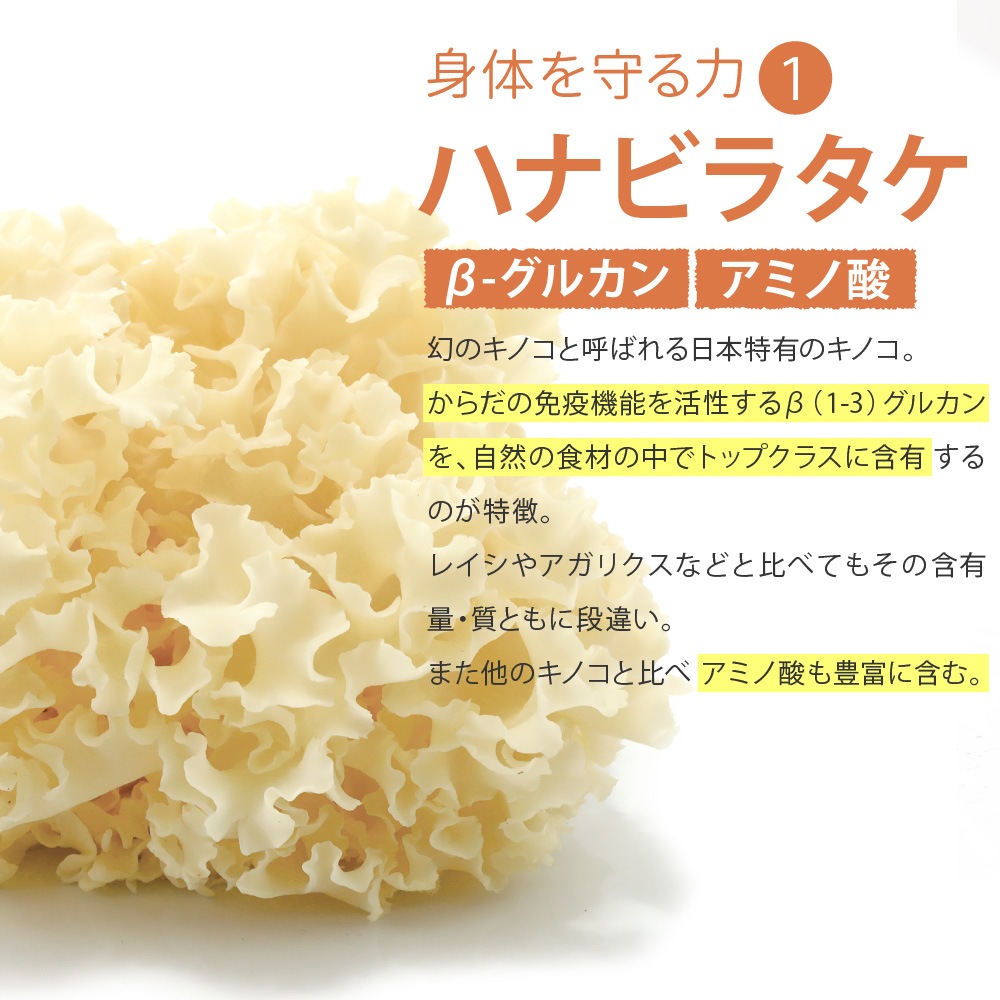 �ڥ᡼�����б��ۥڥåȤΥ饤���٥꡼��360g��