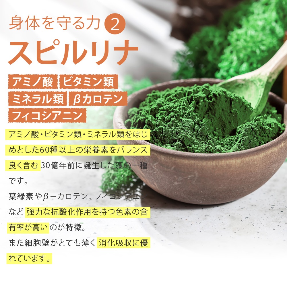 �ڥ᡼�����б��ۥڥåȤΥ饤���٥꡼��360g��