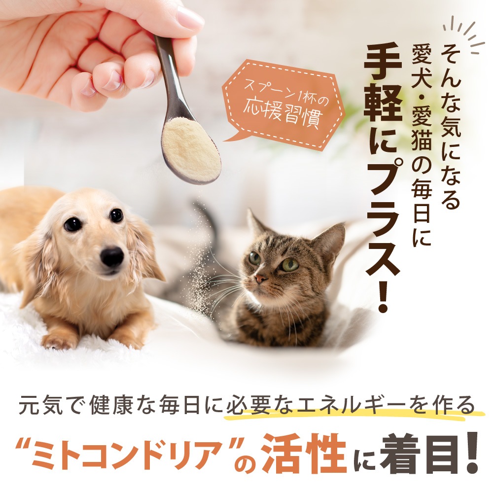 �ڥ᡼�����б��ۥڥåȤΥ饤���٥꡼��360g��