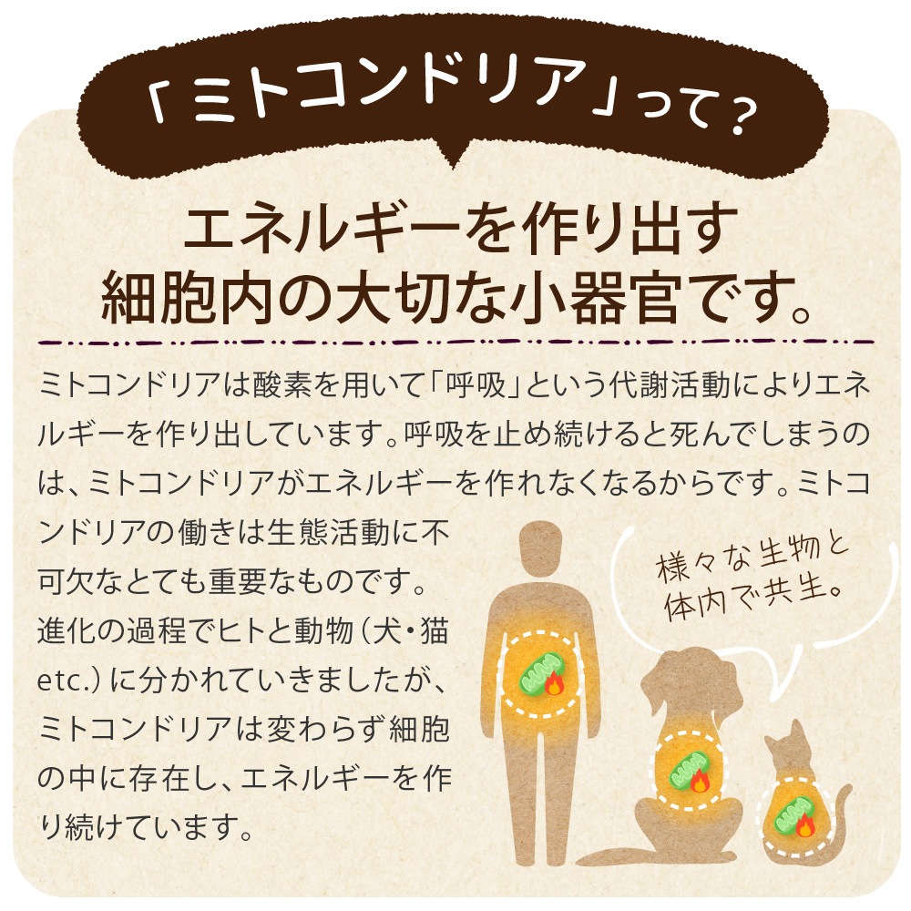 �ڥ᡼�����б��ۥڥåȤΥ饤���٥꡼��360g��