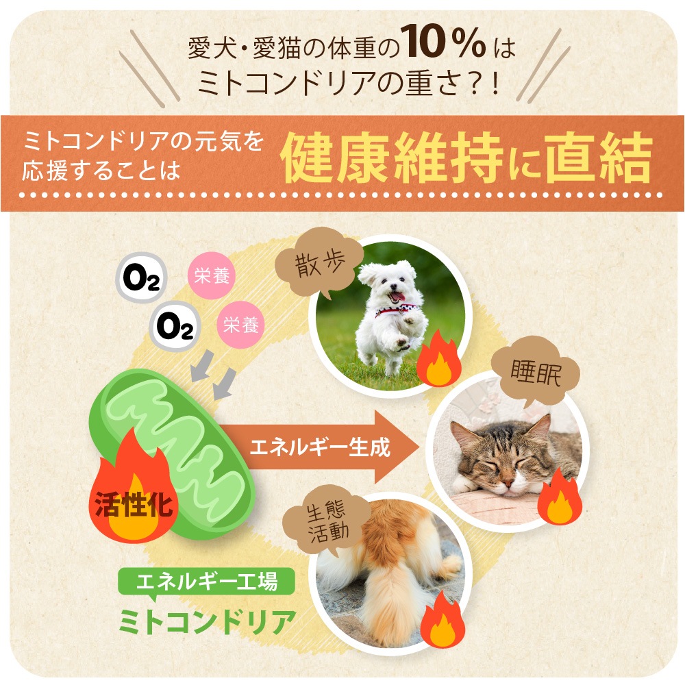 �ڥ᡼�����б��ۥڥåȤΥ饤���٥꡼��360g��