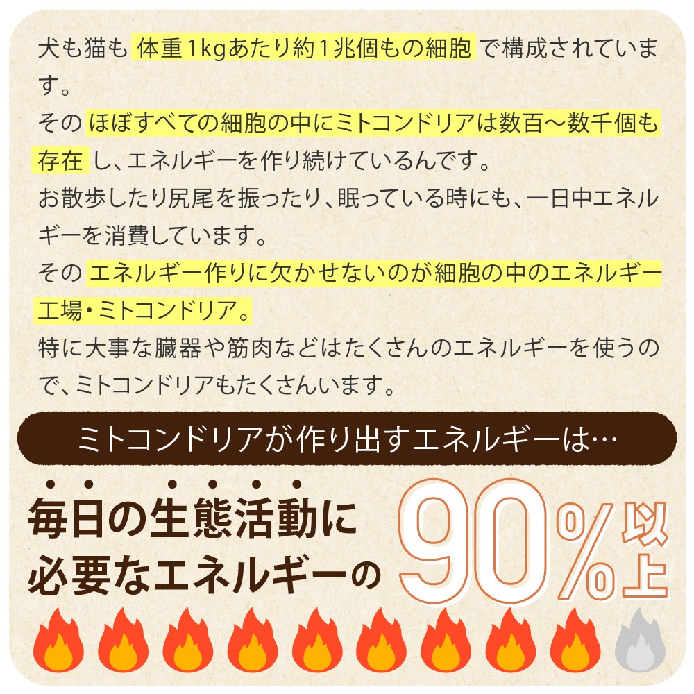 �ڥ᡼�����б��ۥڥåȤΥ饤���٥꡼��360g��