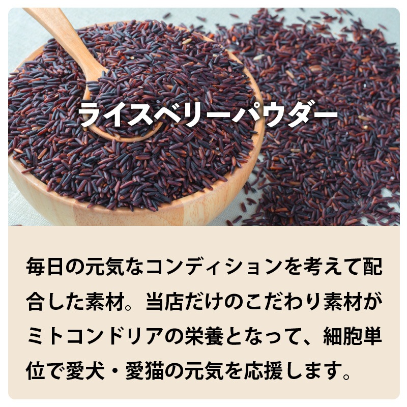 �ڥ�˥塼����۸�ǭ�ѥ��ץ���ȡ��ץ��Х����ߥå�����30���2�ޥ��å�