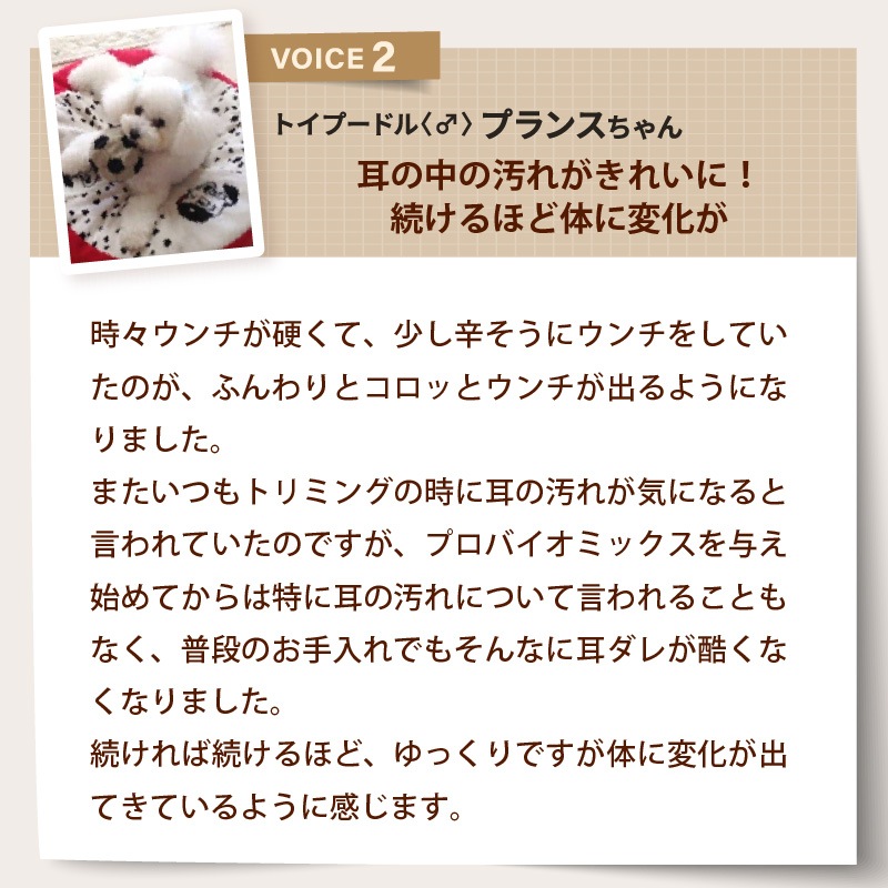 �ڥ�˥塼����۸�ǭ�ѥ��ץ���ȡ��ץ��Х����ߥå�����30���2�ޥ��å�