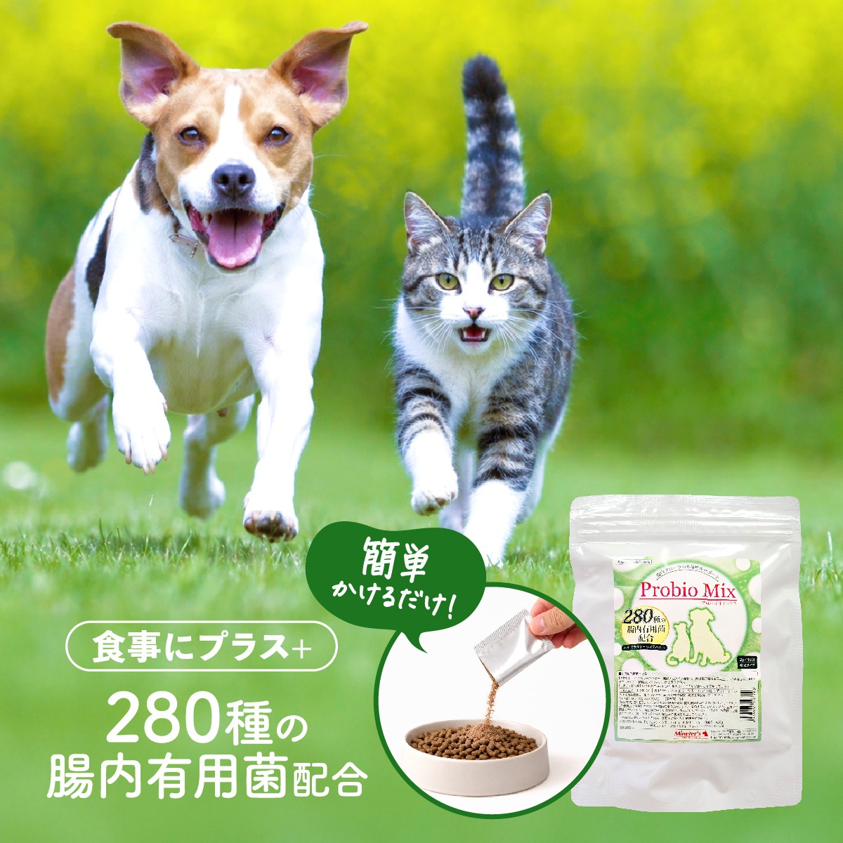�ڥ�˥塼����۸�ǭ�ѥ��ץ���ȡ��ץ��Х����ߥå�����30���2�ޥ��å�