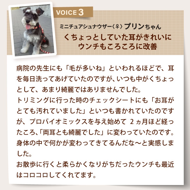 �ڥ�˥塼����۸�ǭ�ѥ��ץ���ȡ��ץ��Х����ߥå�����30���2�ޥ��å�
