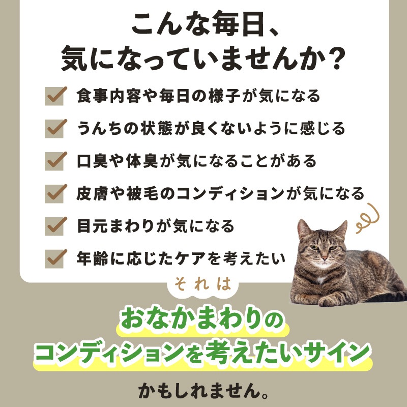�ڥ�˥塼����۸�ǭ�ѥ��ץ���ȡ��ץ��Х����ߥå�����30���2�ޥ��å�