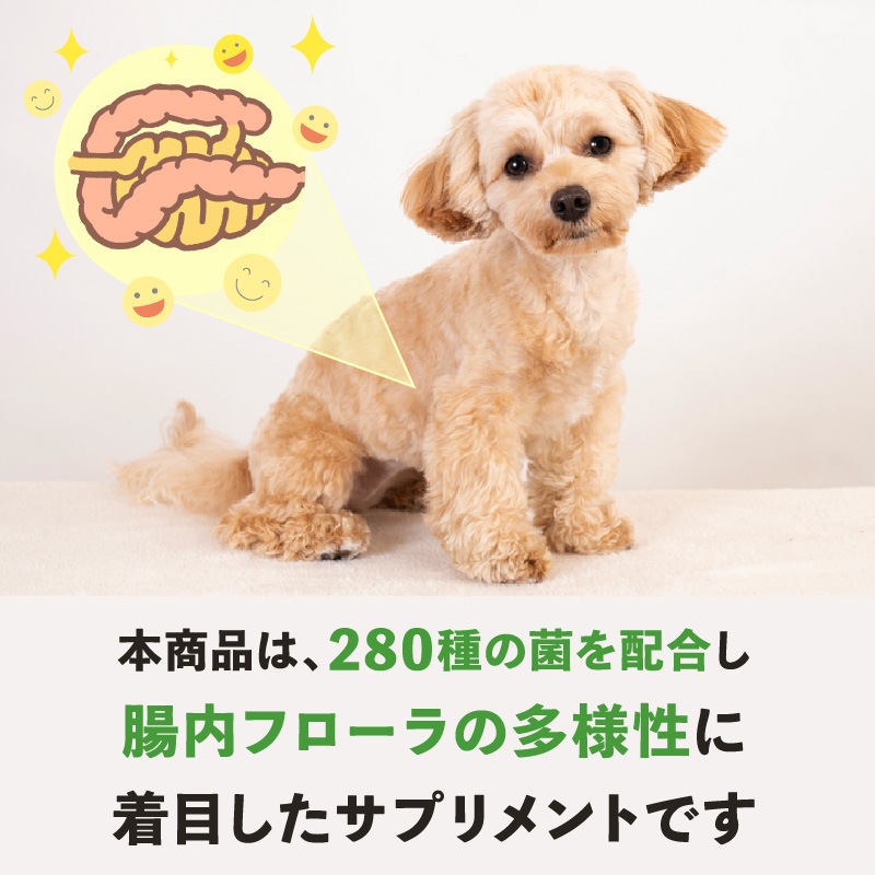 �ڥ�˥塼����۸�ǭ�ѥ��ץ���ȡ��ץ��Х����ߥå�����30���2�ޥ��å�