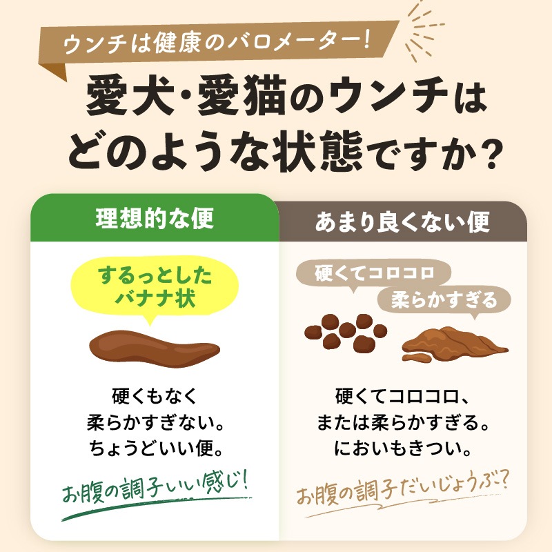 �ڥ�˥塼����۸�ǭ�ѥ��ץ���ȡ��ץ��Х����ߥå�����30���2�ޥ��å�