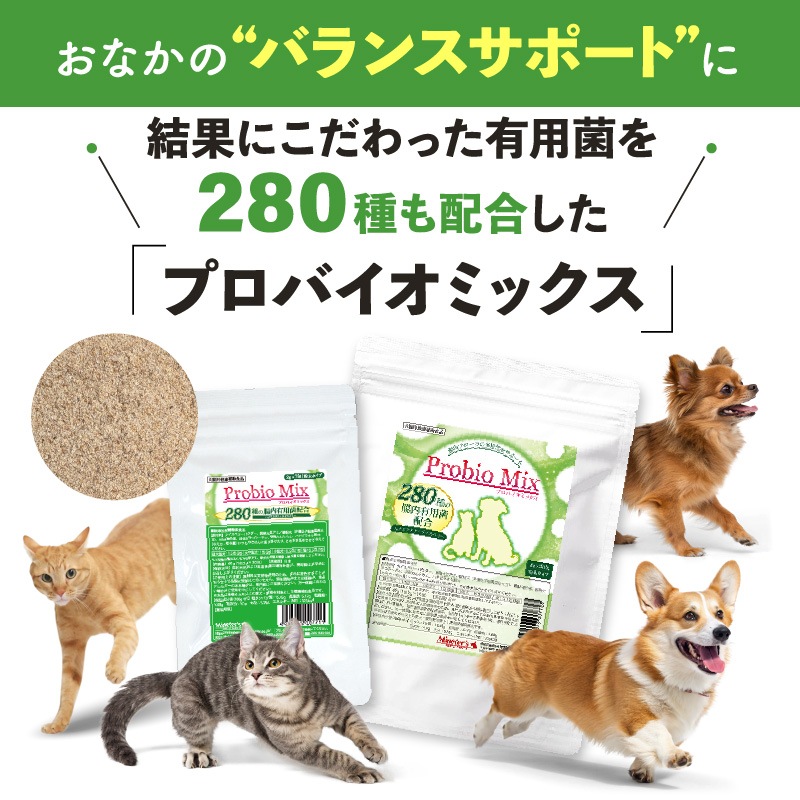 �ڥ�˥塼����۸�ǭ�ѥ��ץ���ȡ��ץ��Х����ߥå�����30���2�ޥ��å�
