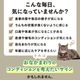 �ڥ�˥塼����۸�ǭ�ѥ��ץ���ȡ��ץ��Х����ߥå�����30���2�ޥ��å�