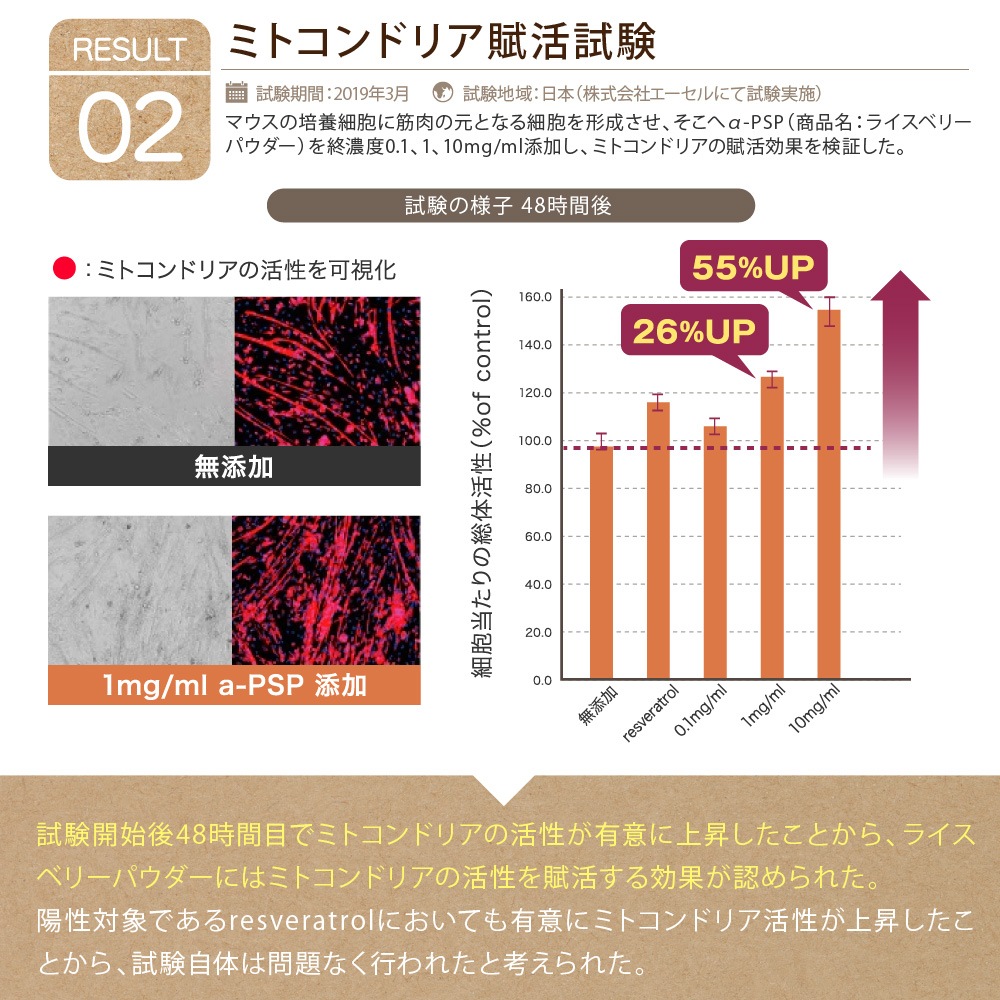 �ڤ���ۥڥåȤΥ饤���٥꡼��50��ˡʽ�����/�����Ӱ��¤�Ȥʤ�ޤ���