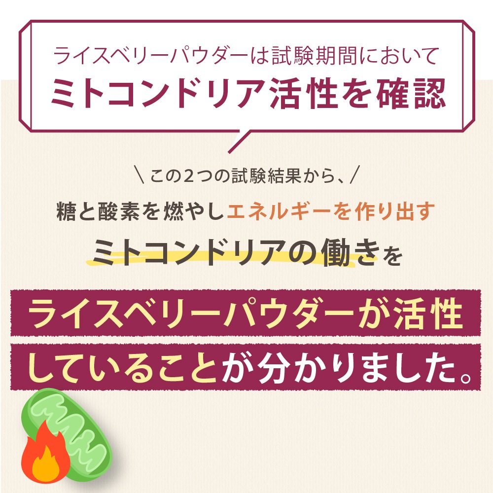 �ڤ���ۥڥåȤΥ饤���٥꡼��50��ˡʽ�����/�����Ӱ��¤�Ȥʤ�ޤ���