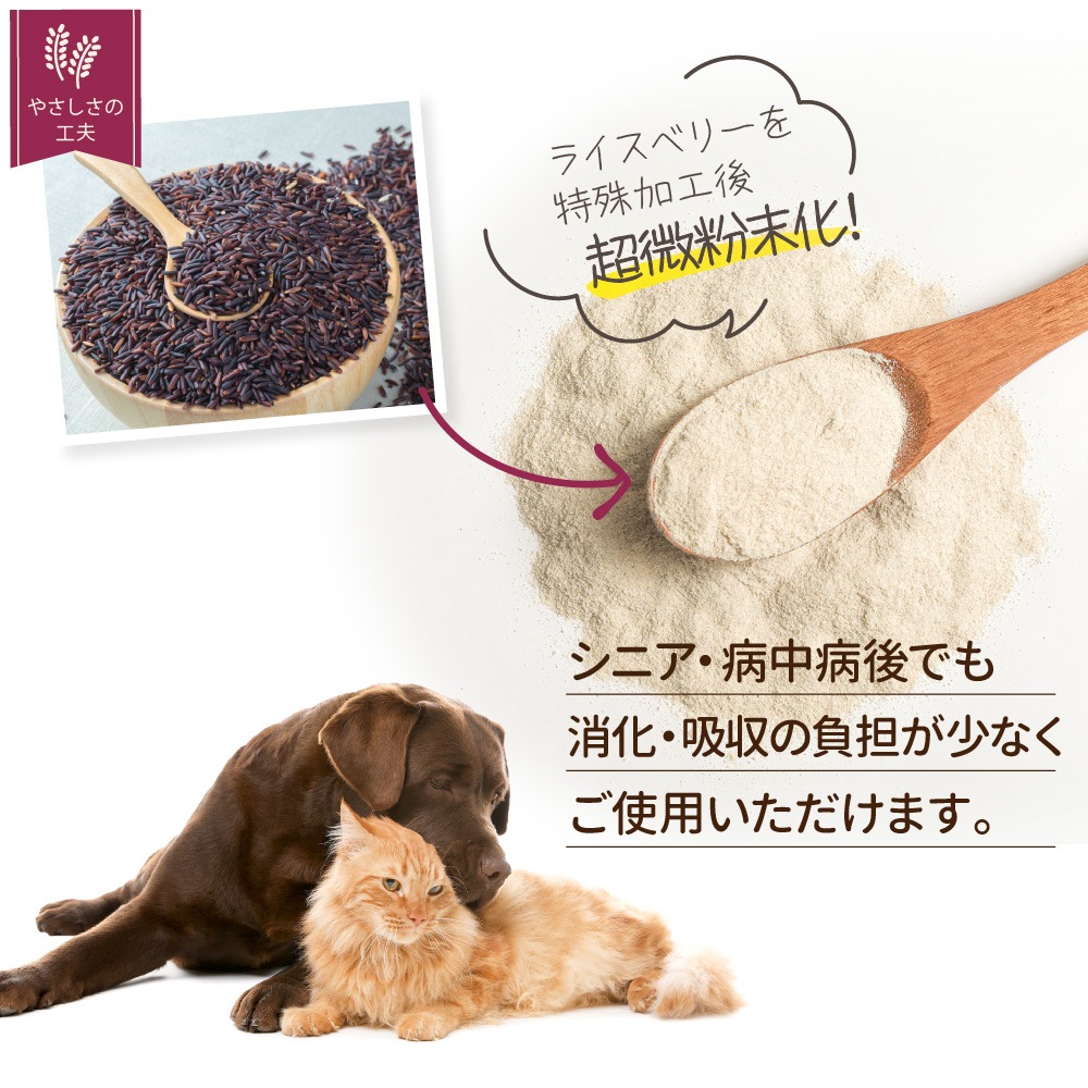 �ڤ���ۥڥåȤΥ饤���٥꡼��50��ˡʽ�����/�����Ӱ��¤�Ȥʤ�ޤ���