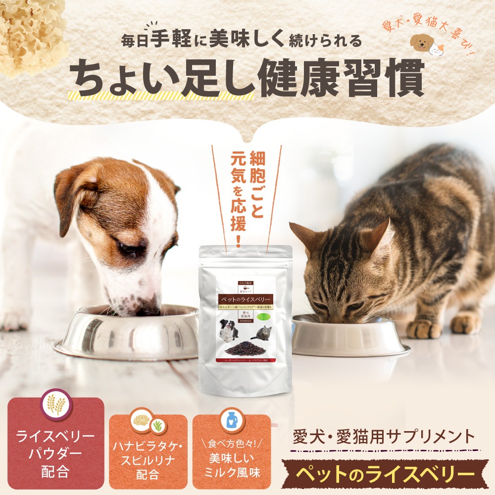 �ڤ���ۥڥåȤΥ饤���٥꡼��50��ˡʽ�����/�����Ӱ��¤�Ȥʤ�ޤ���