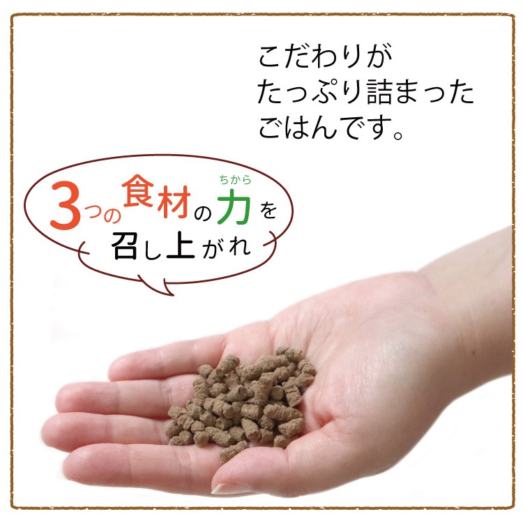 �������ΰ��������꤫��800��