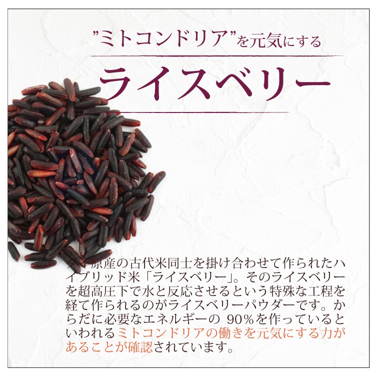 8OFFۤΰ꤫800硦5ĥå