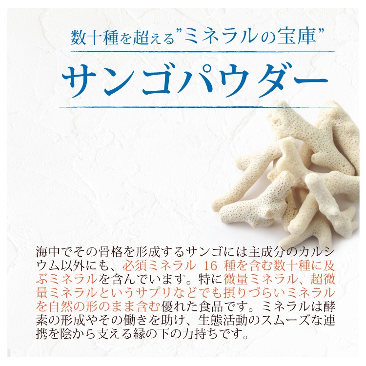 8OFFۤΰ꤫800硦5ĥå