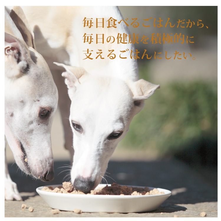 8OFFۤΰ꤫800硦5ĥå