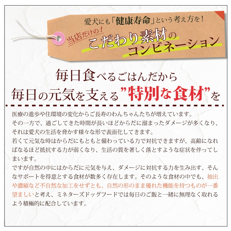 8OFFۤΰ꤫800硦5ĥå