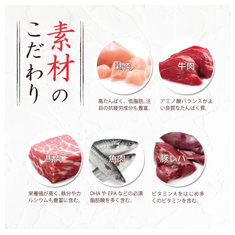 ��15��OFF�ۤ������ΰ��������꤫��800�硦10�ĥ��å�