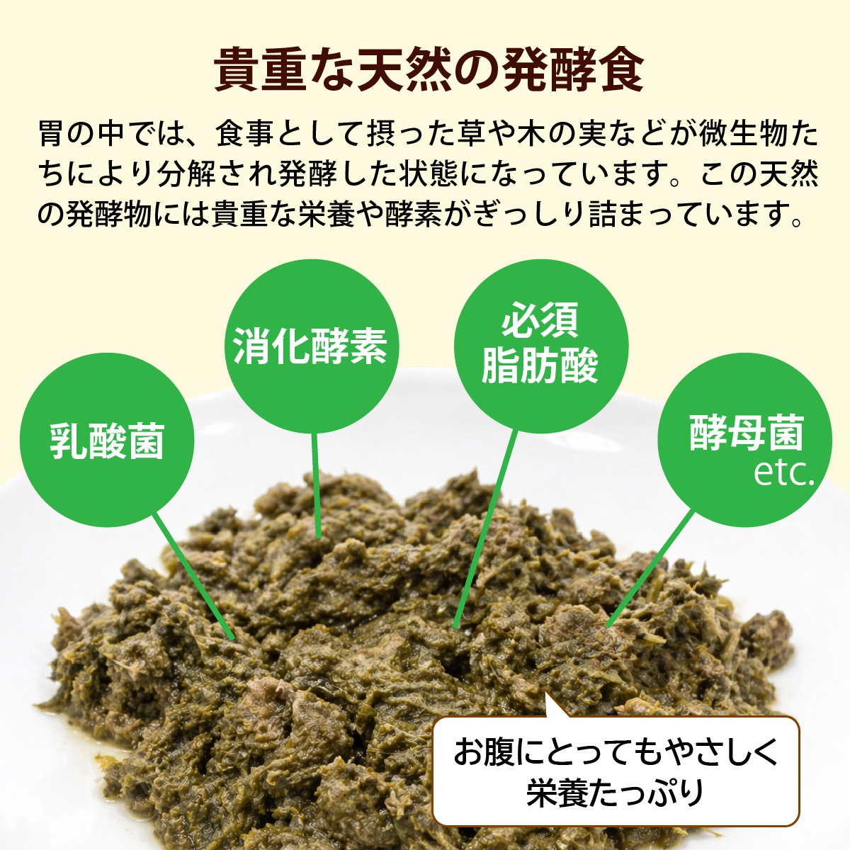 �ڤ���ۤϤ���ƤΥȥ饤�ס�25��ˡʽ�����/�����Ӱ��¤�Ȥʤ�ޤ���