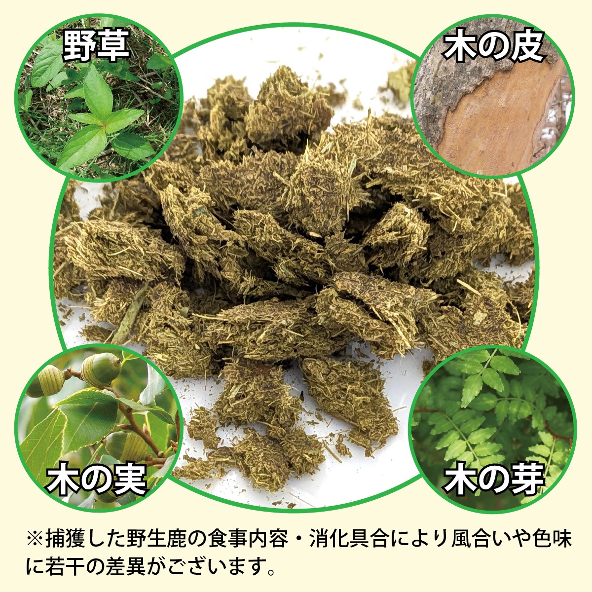 �ڤ���ۤϤ���ƤΥȥ饤�ס�25��ˡʽ�����/�����Ӱ��¤�Ȥʤ�ޤ���