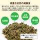 �ڤ���ۤϤ���ƤΥȥ饤�ס�25��ˡʽ�����/�����Ӱ��¤�Ȥʤ�ޤ���