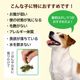 �ڤ���ۤϤ���ƤΥȥ饤�ס�25��ˡʽ�����/�����Ӱ��¤�Ȥʤ�ޤ���