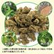 �ڤ���ۤϤ���ƤΥȥ饤�ס�25��ˡʽ�����/�����Ӱ��¤�Ȥʤ�ޤ���