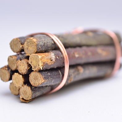 ミニチュア雑貨 木の束10本セット [ORGA002][m-s]【ORB】【ネコポス配送対応】