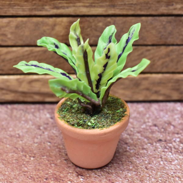 ミニチュアパーツ 鉢植え観葉植物 Pnl 1 12スケール M S ネコポス配送対応 C ミニチュア植物 観葉植物 Miniature Market ミニチュアパーツ 鉢植え観葉植物 Pnl 1 12スケール M S ネコポス配送対応 C ミニチュア植物 観葉植物 Miniature Market