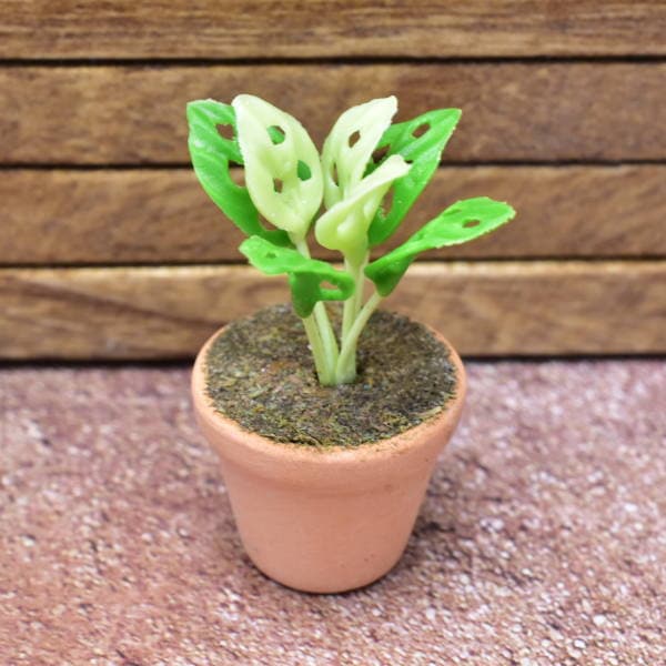 ミニチュアパーツ 鉢植え観葉植物 [PNL36] (1/12スケール) [m-s]【ネコポス配送対応】【C】