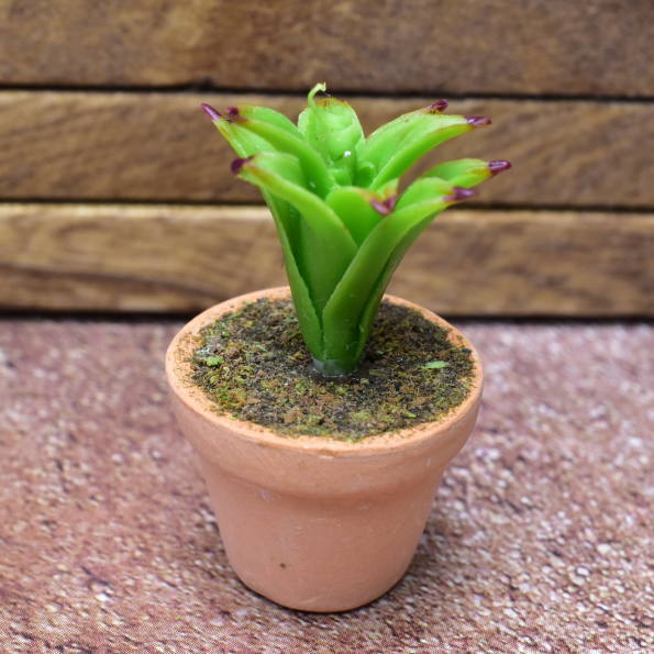 ミニチュアパーツ 鉢植え観葉植物 Pnl46 1 12スケール M S ネコポス配送対応 C ミニチュア植物 観葉植物 Miniature Market ミニチュアパーツ 鉢植え観葉植物 Pnl46 1 12スケール M S ネコポス配送対応 C ミニチュア植物 観葉植物 Miniature Market