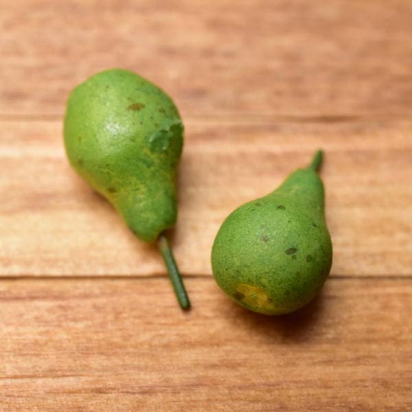 ミニチュアフード 果物シリーズ 【洋ナシ [LF9] 2個セット】 (1/12スケール) [m-s]【SM】【ネコポス配送対応】【C】